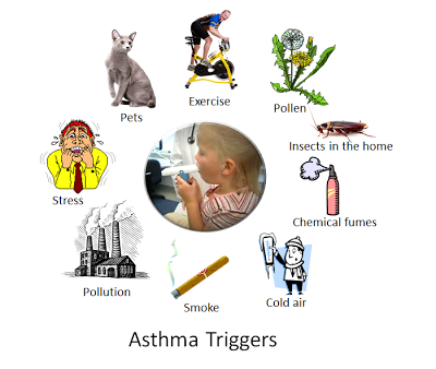 Asthma triggers graphic