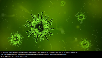 Flu virus graphic